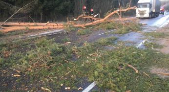Пострадали автомобили, крыши зданий и даже железная дорога. Сколько объектов в Гродненской области повредил сильный ветер
