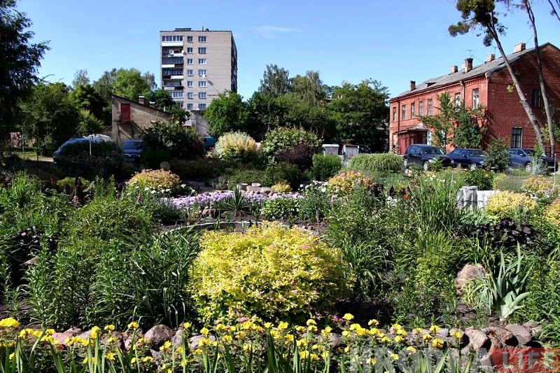 улица Академическая Гродно цветник