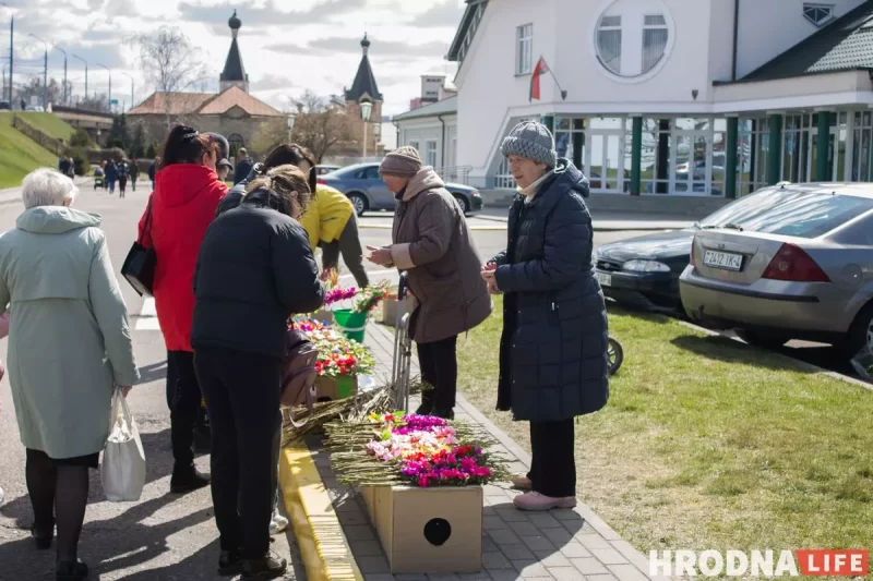 Вербное воскресение в Гродно, вербы, пальмы, котики