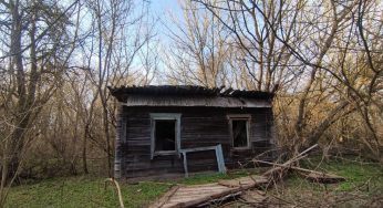 Новости белорусской деревни: теленок умер от голода, сотрудники работают на две ставки, испортилось 8000 литров молока 