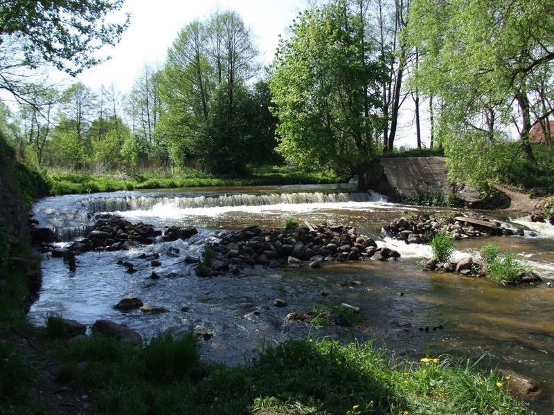 отдохнуть с мангалом в Гродно, шашлыки