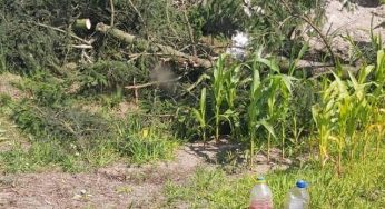 В Стриевке разрушили памятник погибшим польским солдатам. Это уже пятый случай в Гродненской области