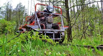 На дрезине с видом на мачтовые сосны: как попасть на экскурсию по узкоколейке в заказнике «Озеры»