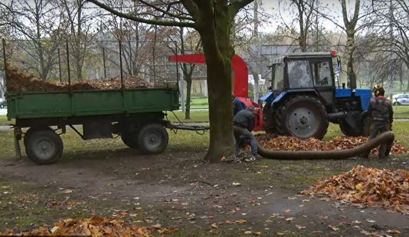 Листосос Гродно