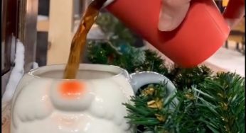 Ёлка в доме и праздничный маникюр. Как гродненцы готовятся к Новому году