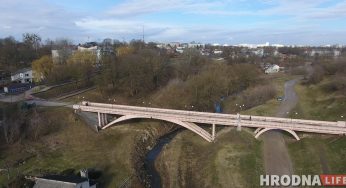 Из-за температурного рекорда в Гродно распустились почки