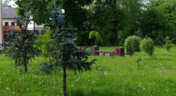 Гродно — самый незеленый областной центр Беларуси