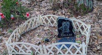 За захоронение домашнего животного в землю можно получить штраф. Что делать, если умер питомец?