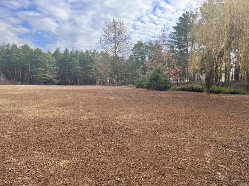 На месте профилактория “Гродно Азот” построят новый оздоровительный комплекс: со спа и саунами Территории на месте профилактория "Гродно Азот"