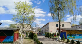 Во дворе детского сада в Гродно спилят пять деревьев