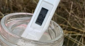 Экологи нашли, чем пахнет на Дзержинского