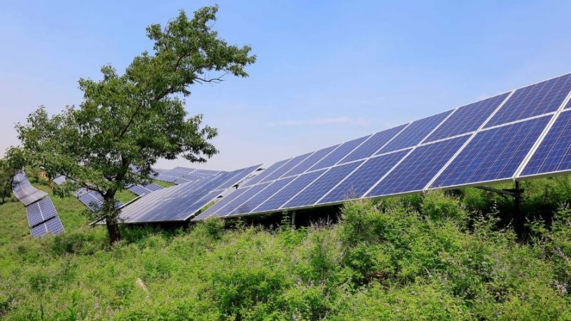 Гродненская “табачка” закупает солнечные панели: их установят на фабрике и на “Привале” Солнечные панели