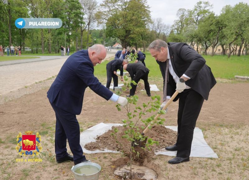 Караник сажает деревья в Свяцке