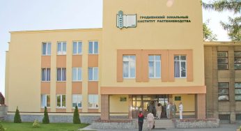 Силовики провели задержания в Щучине: пришли в одну госструктуру