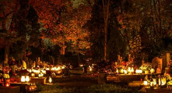 Накануне Дедов ЖКХ жеребьевкой определял места для торговли цветами — желающих оказалось слишком много 