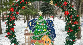 В Гродно открыли аллею из полусотни «дизайнерских» елок: фото