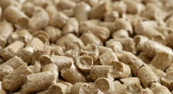 Руководитель сельхозпредприятия нарушил закон, чтобы сэкономить на товаре. Тот не доставили — пришлось идти в РОВД 