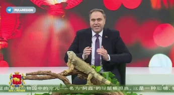 Владимир Караник заговорил по-китайски: его внимательно слушала игуана Ася