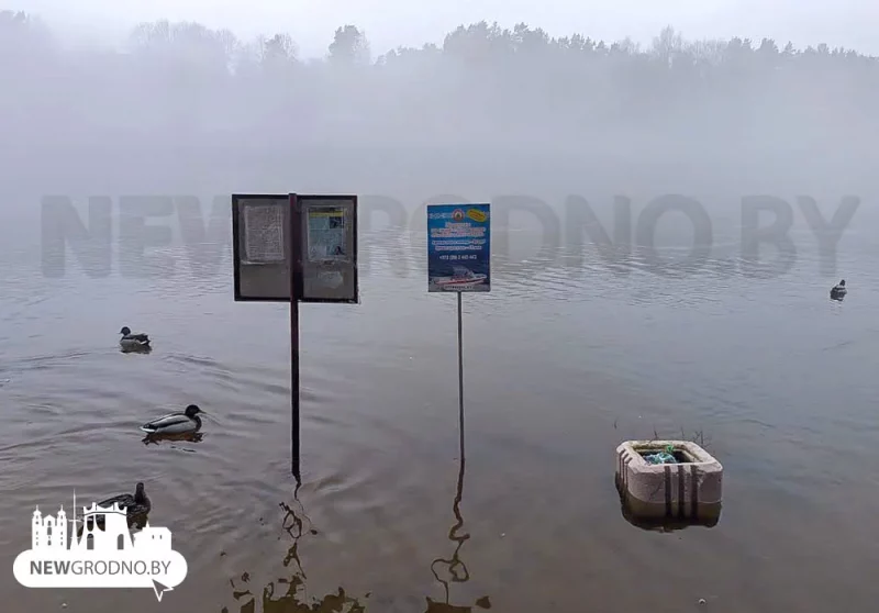 Пляж у Пышках затапіла