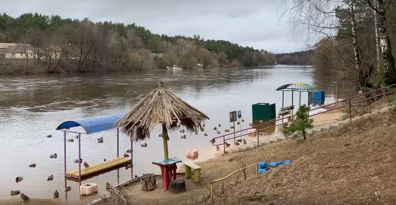 В Гродно затопило пляжи. Чего ждать от Нёмана в ближайшие дни? Пляж в Пышках на Немане затопило