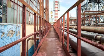 Чаще всего “азотовцев” судят за распространение экстремистских материалов 