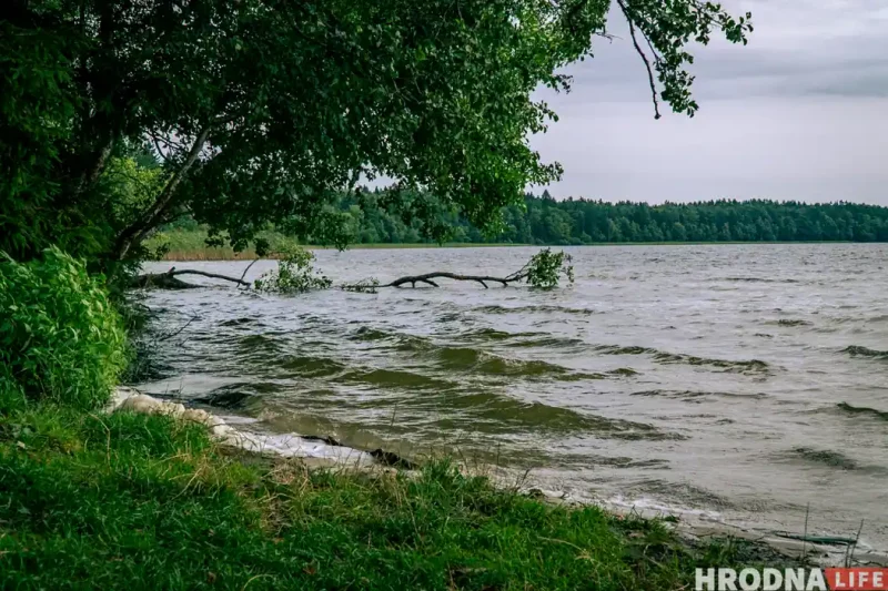 Свитязь, водоём, озеро