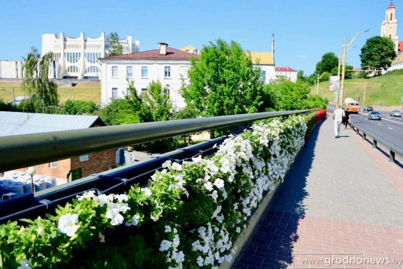 Азеляненне на Старым мосце ў Гродне