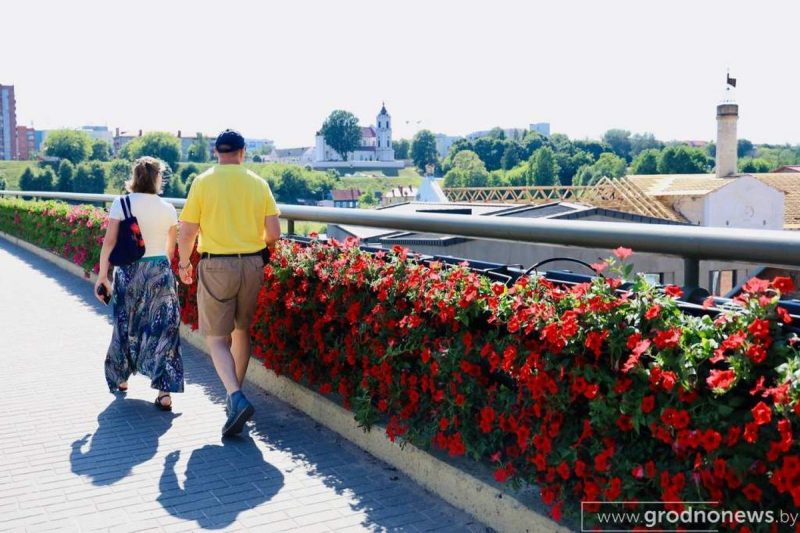 Цветочная стена на Старом мосту в Гродно