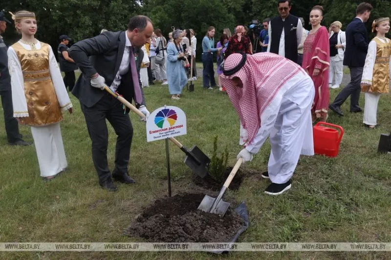 Прадстаўнікі дыяспар саджаюць дрэвы ў Скверы сяброўства. Фота: БелТА