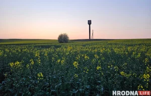 Убийство девушки в Гродно раскрыли спустя 17 лет. Обвиняемому грозит смертная казнь