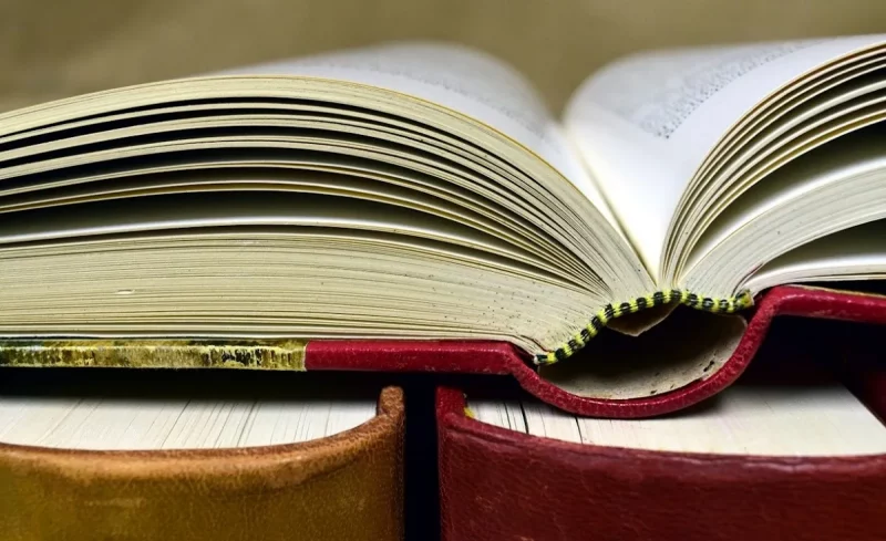 Книги. Иллюстративное фото: pixabay.com