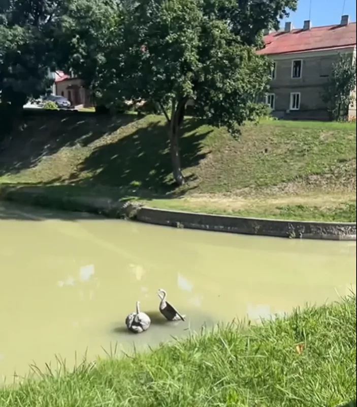 Забруджаная Гараднічанка. Скрыншот відэа Яўгена Філімонава