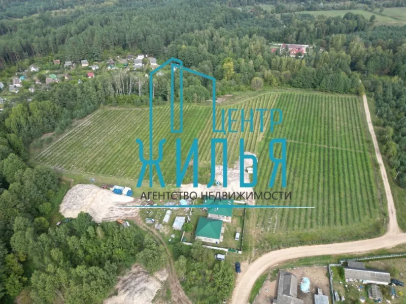 Под Гродно продают готовый бизнес по выращиванию голубики Бизнес по выращиванию голубики. Фото: "Центр жилья"