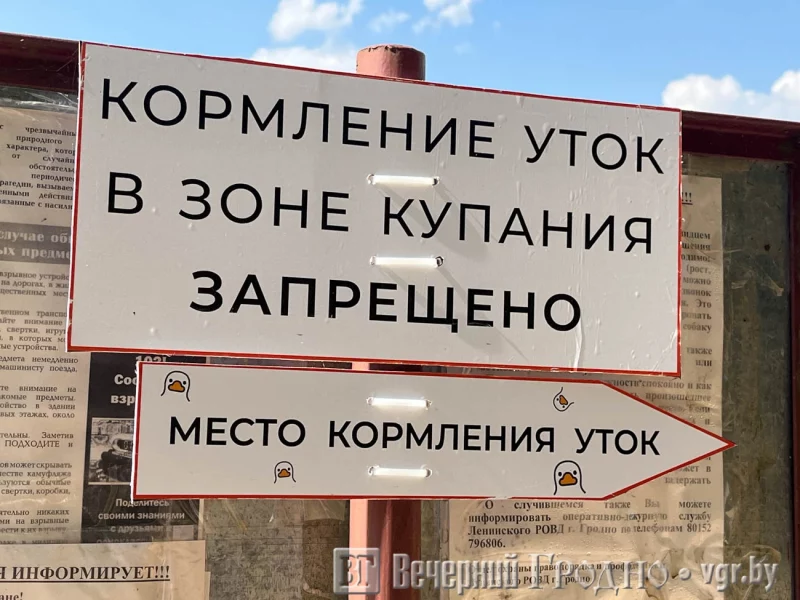 Появились указатели для аппаратов с кормом для уток в Гродно. Фото: Вечерний Гродно