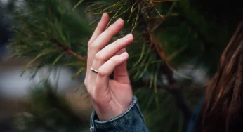 В Гродненской области посадят 2 млн деревьев вместо поваленных бурей: можно присоединиться