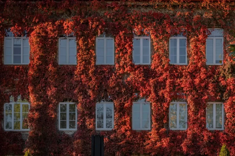 Туристка приехала посмотреть на известную фотозону Гродно и разочаровалась Главный корпус ГрГУ в октябре