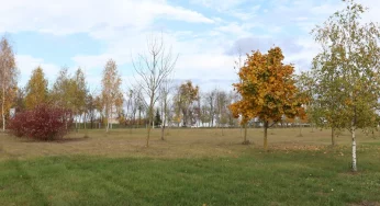 Между кладбищем и «Азотом» построят торгово-выставочный центр