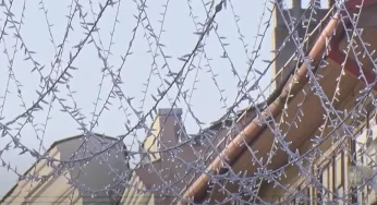 Знаки зодиака на Ленина и неоновые контуры зданий: как украшают Гродно к Новому году