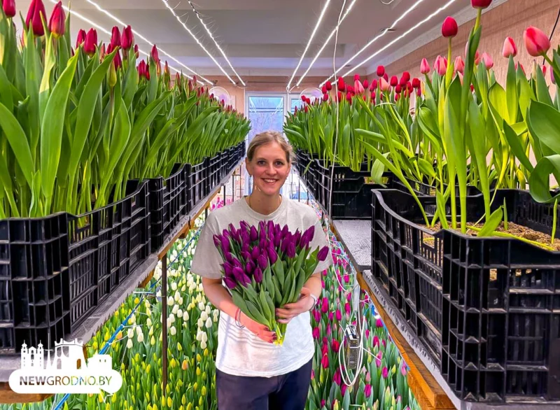 Гродненцы вырастили 15 тысяч тюльпанов на втором этаже своего дома 