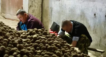 На учете – 30 человек. Милиция устраивает на сезонные работы бывших заключенных