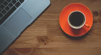 Еще одна дог-френдли кофейня откроется в Гродно