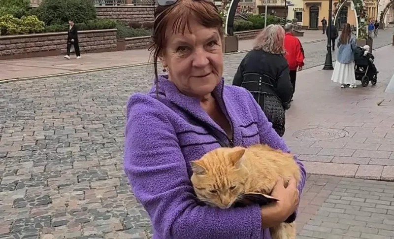 “Выбил зубы с левой стороны”. Журналисты нашли хозяйку популярного в соцсетях кота из Гродно “Выбил зубы с левой стороны”. Журналисты нашли хозяйку популярного в соцсетях кота из Гродно