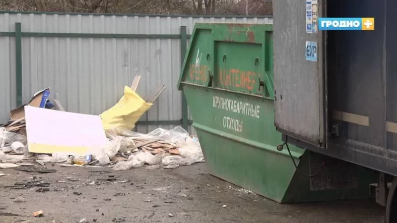 В Гродно ИПшника оштрафовали за мусор: как его вывезти правильно мусорный контейнер