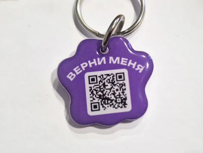 В Беларуси запустили сервис для пропавших питомцев — животных будут искать с помощью смарт-брелка