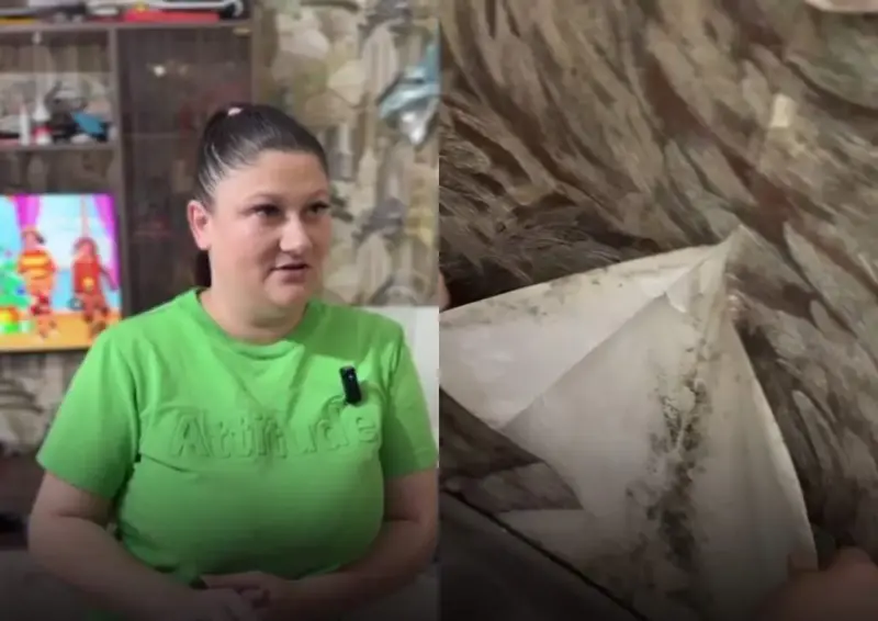 Гараджане тры гады змагаюцца з цвіллю ў кватэры — ва УЖРЭП параілі часцей праветрываць