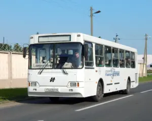 Скидельские автобусы не справляются с потоком пассажиров — горожане винят школьников 