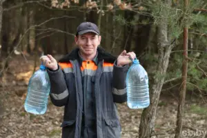 В лесхозах области уже можно купить березовый сок. Сколько он стоит?