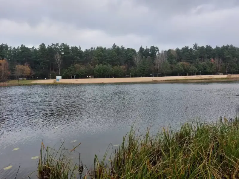 Под Волковыском массово гибнет рыба — причину уже установили Под Волковыском массово гибнет рыба — причину уже установили