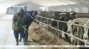 В Гродненской области дефицит кадров в агросфере восполняют иностранцами  