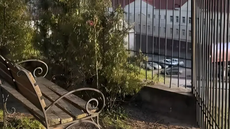 бернардинский лавочка